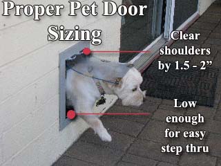 Proper Pet Door Sizing